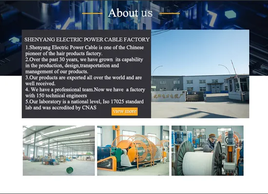 Shenguan High Quality Wholesale Price Heat Resistant Welding Mining/Coal Rubber Cable  Electric Vehicle High Voltage Cable Optic Fiber AC Cable 