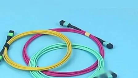 12/24 Cores Om3/Om3 MPO/MTP Fiber Optic Patchcord/Jumper 